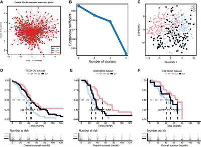 Immune-and Metabolism-Associated Molecular Classiﬁcation of Ovarian Cancer